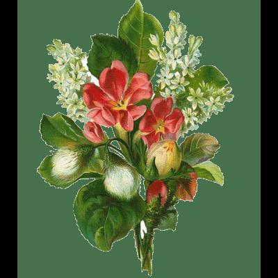 木香花花语？因此人们常常认为荼靡花开是一年花季的终结。那么，木香花花语？一起来了解下吧。